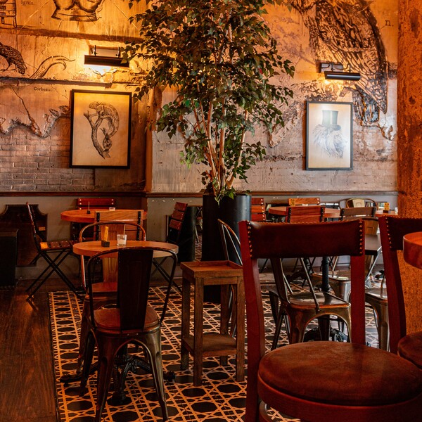 Gin Gin Condesa 21