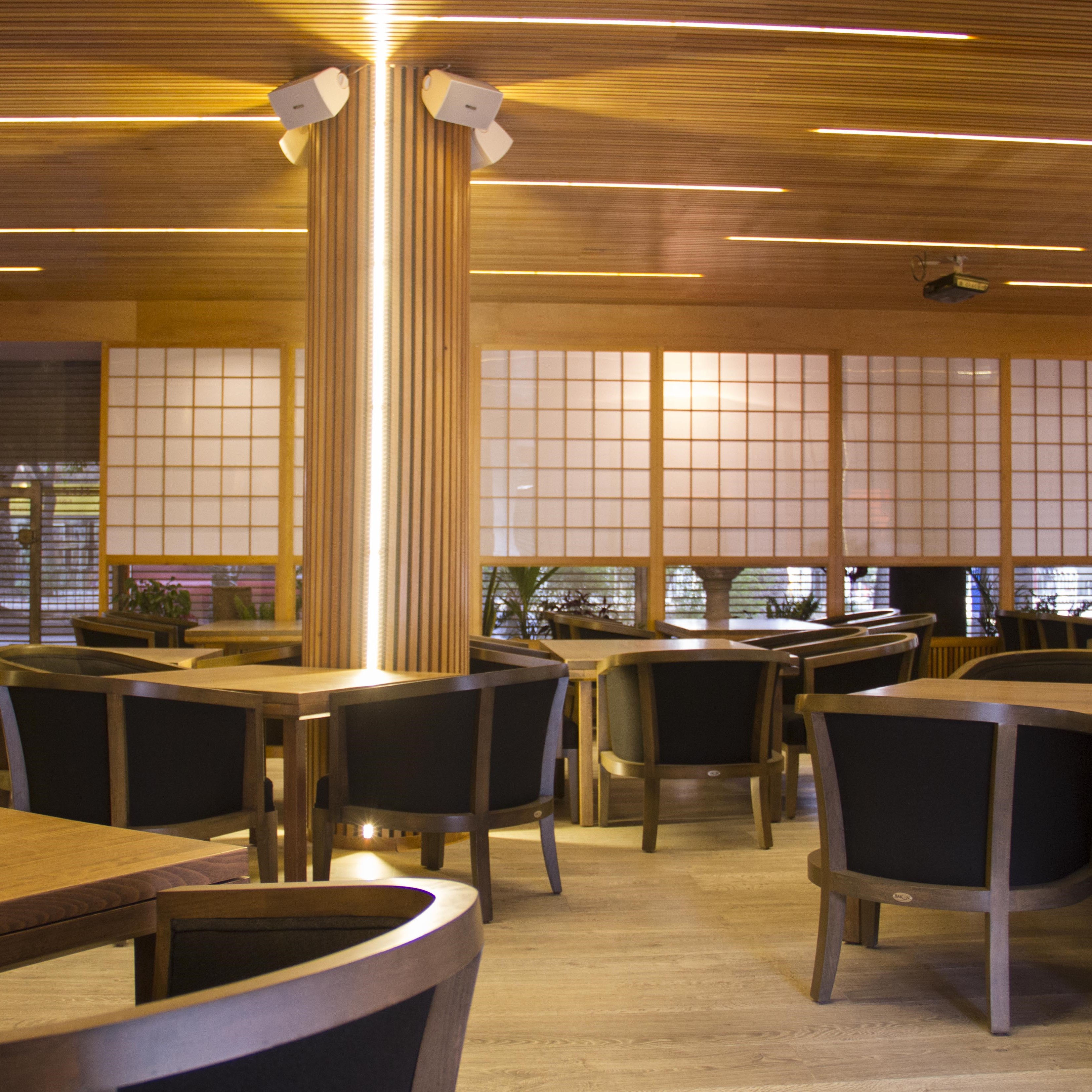 Daikoku Nuevo León 8