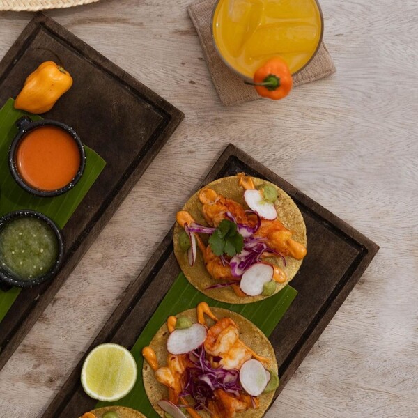 Gitano Beach Club Tulum 12