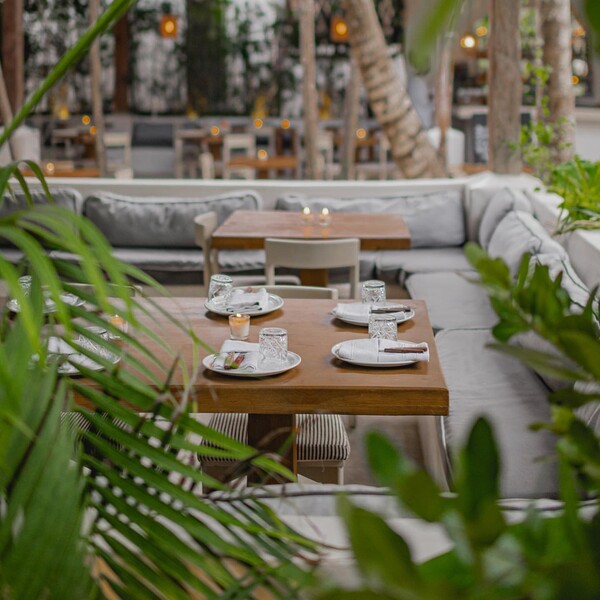 Restaurante Meze Tulum 16