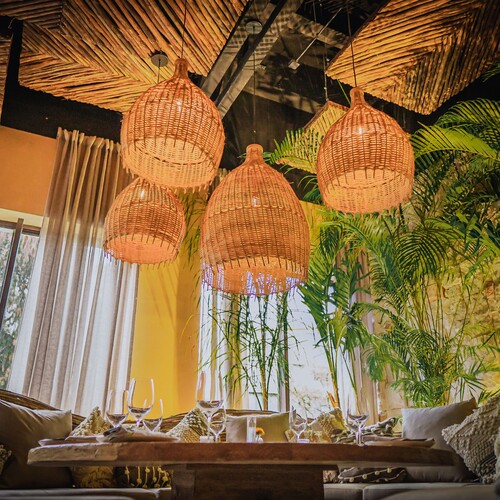 Chambao Polanco 20