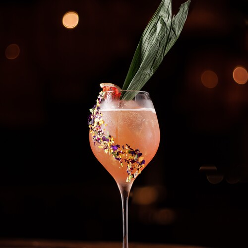Funky Geisha Los Cabos 27