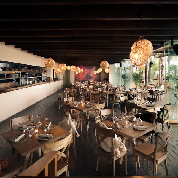 Restaurante Mamazzita Los Cabos 10