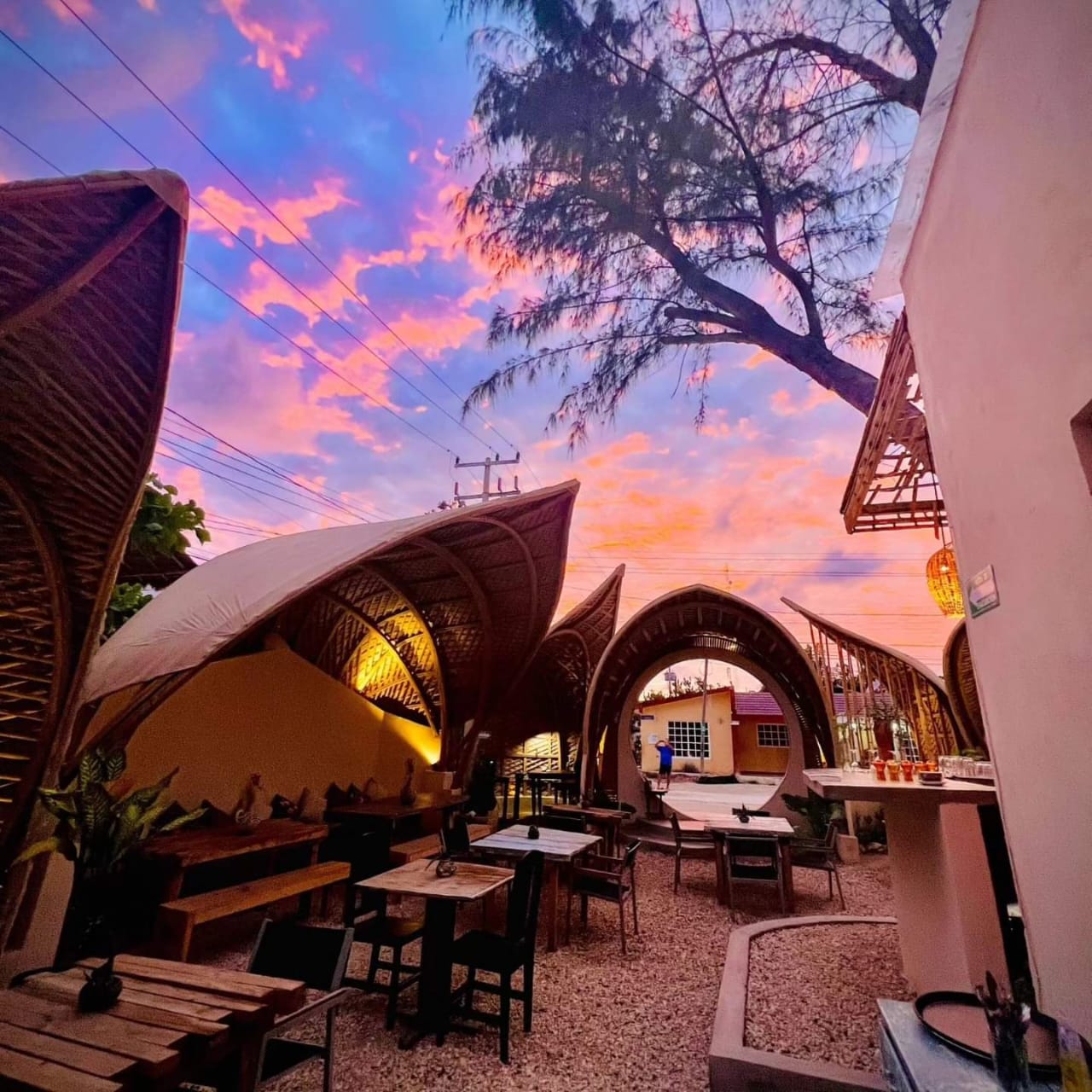 Restaurante Milpa Holbox 11