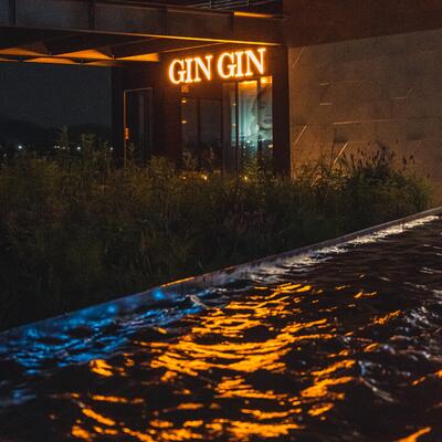 Gin Gin Plaza Satélite 29