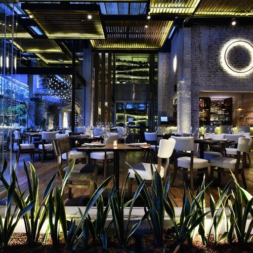 Restaurante Rosa Negra Polanco 14