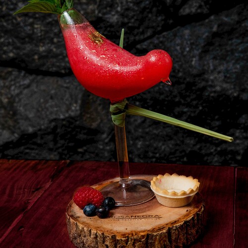 Restaurante Rosa Negra Polanco 16