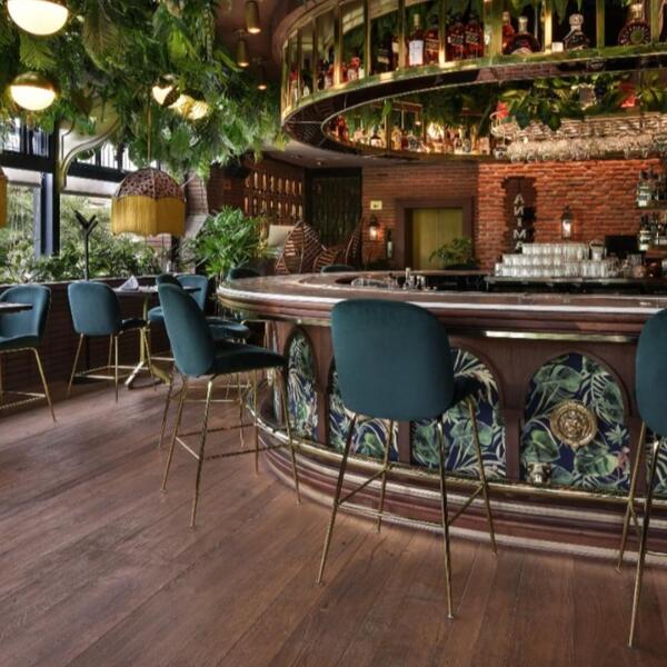 Restaurante Animal Masaryk 7