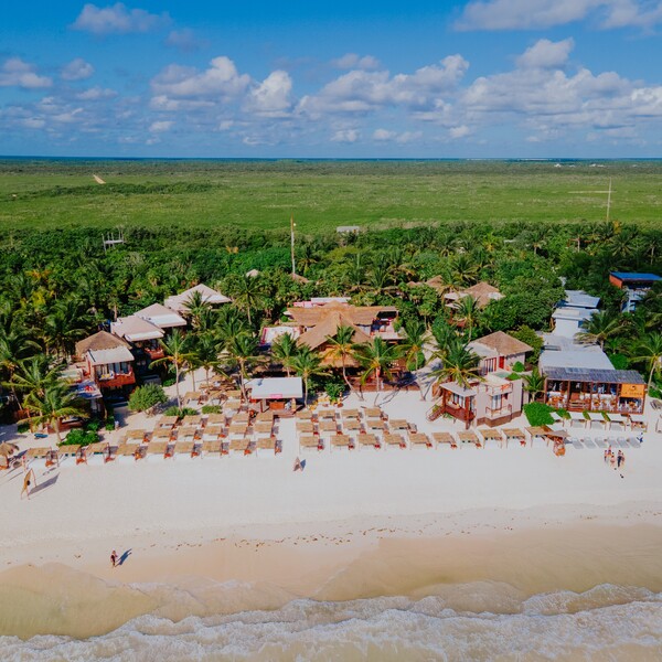 Restaurante La Zebra Tulum 19