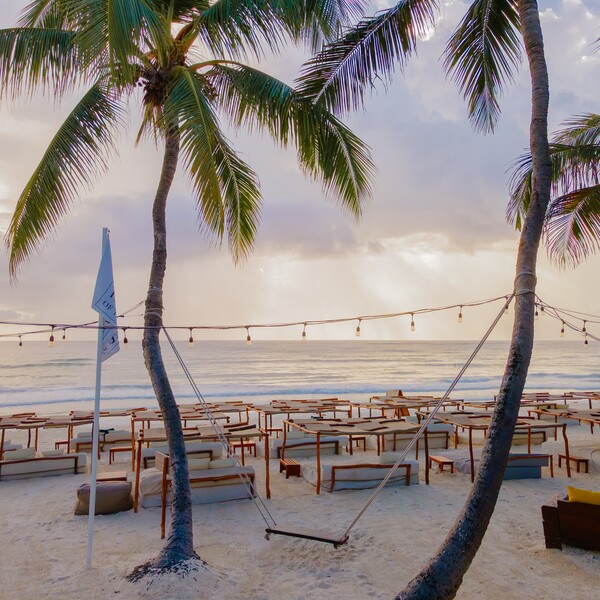 Restaurante La Zebra Tulum 31