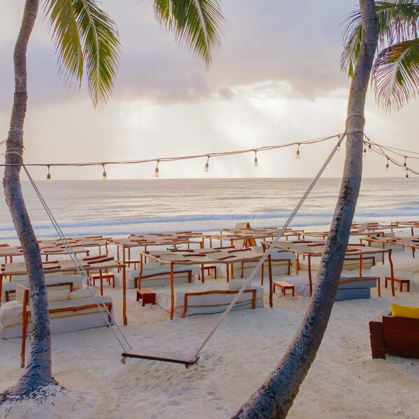 Restaurante La Zebra Tulum 40