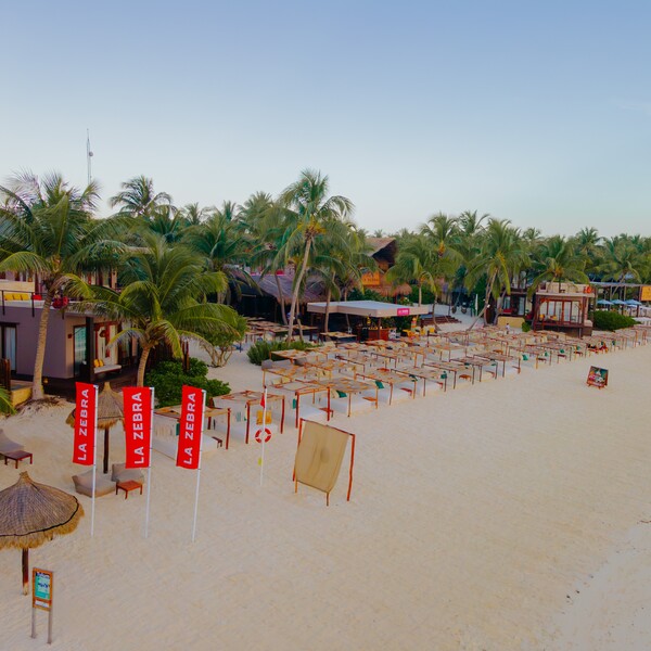Restaurante La Zebra Tulum 32