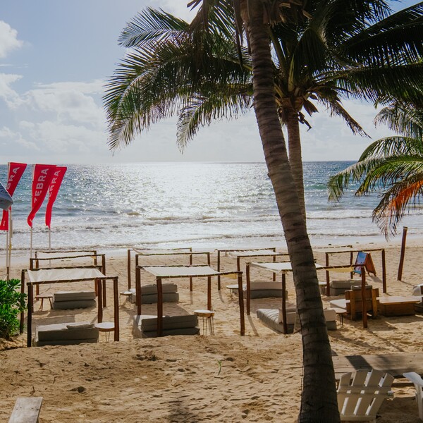 Restaurante La Zebra Tulum 23