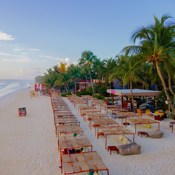 Restaurante La Zebra Tulum 16
