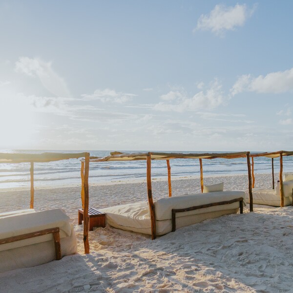 Restaurante La Zebra Tulum 25