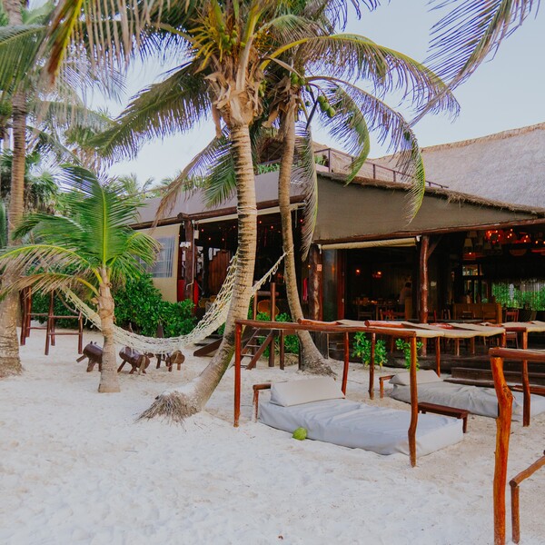Restaurante La Zebra Tulum 9