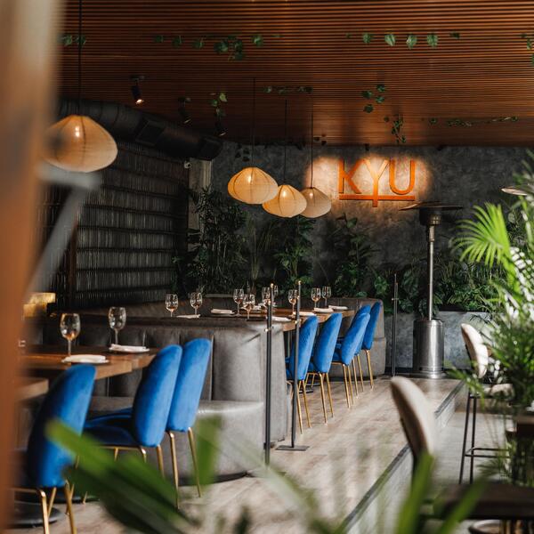 KYU México Polanco 17