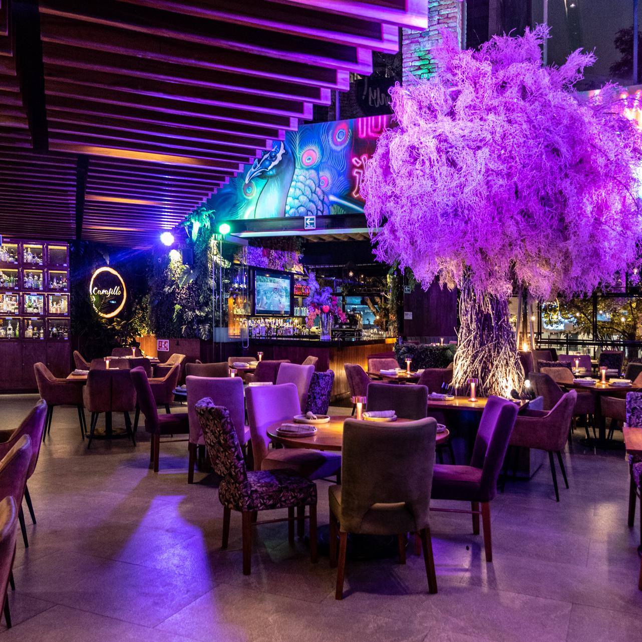 Restaurante Carajillo Masaryk 20