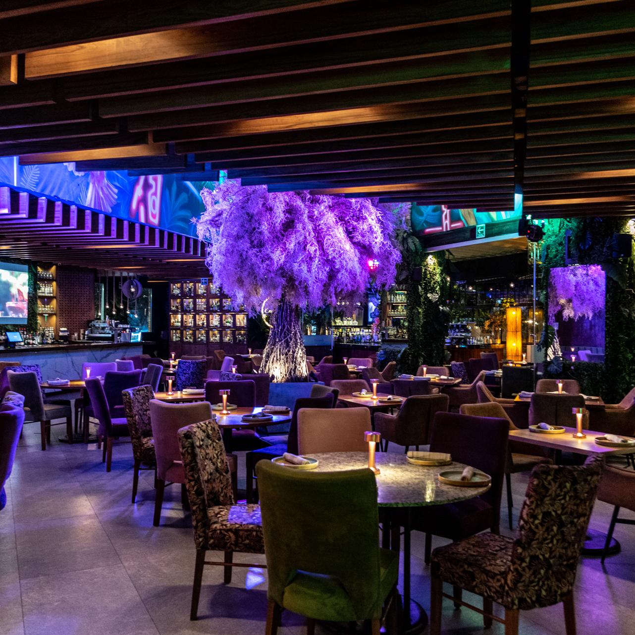 Restaurante Carajillo Masaryk 9
