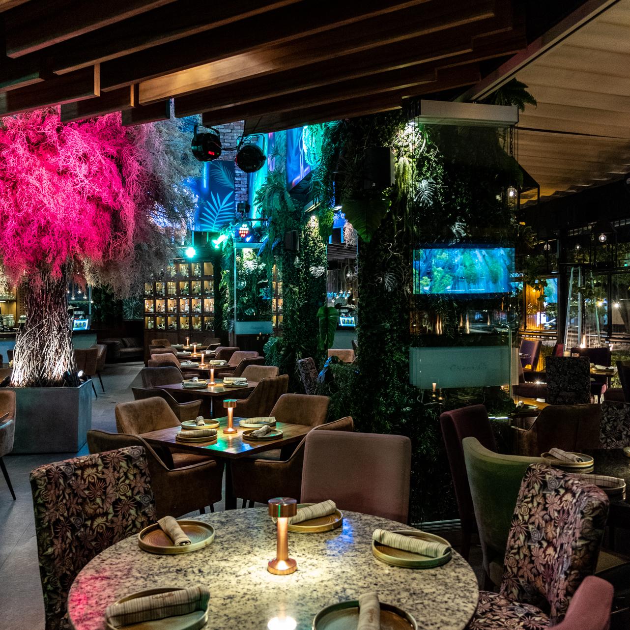 Restaurante Carajillo Masaryk 27