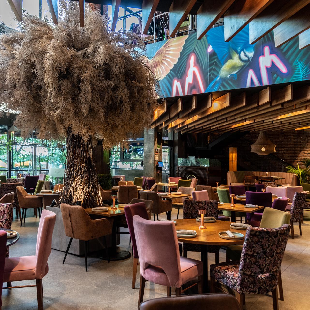Restaurante Carajillo Masaryk 23