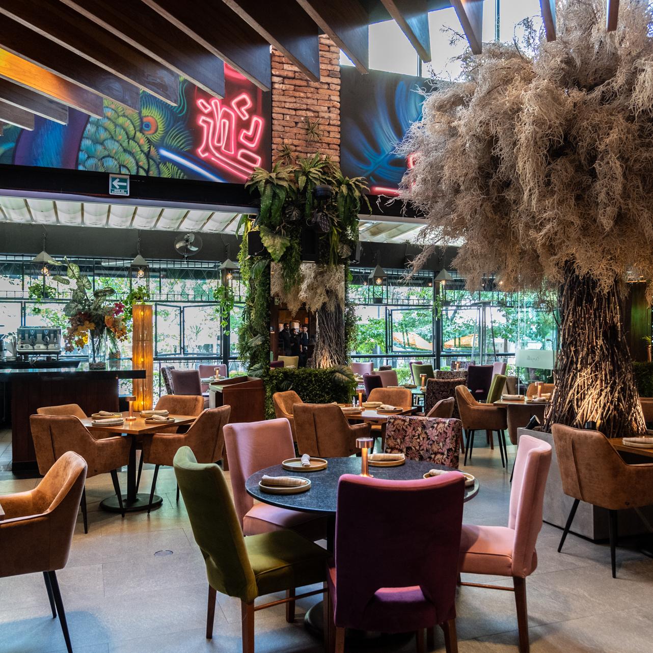 Restaurante Carajillo Masaryk 13