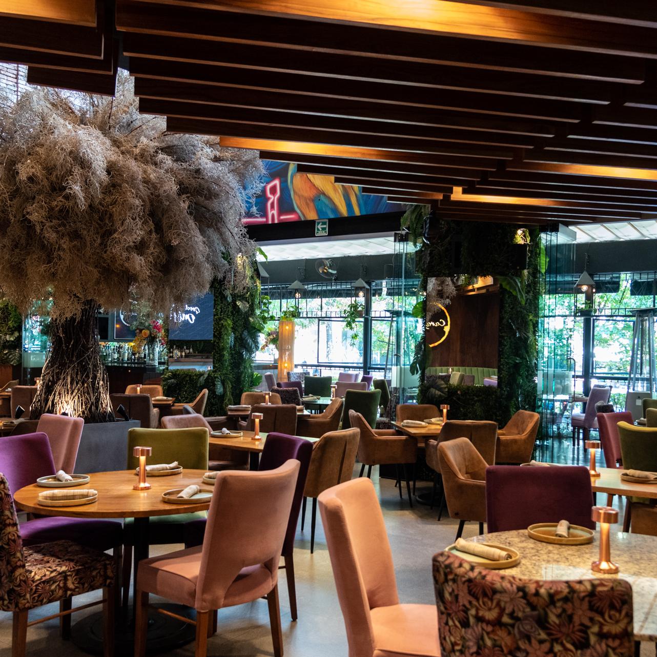 Restaurante Carajillo Masaryk 34