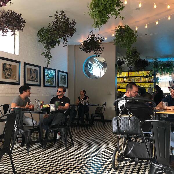 Restaurante La Caracola Cocina de Mar Guadalajara 10
