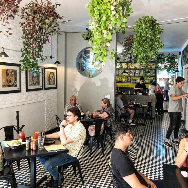 Restaurante La Caracola Cocina de Mar Guadalajara 11