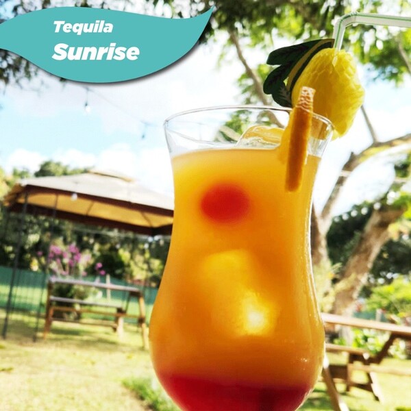 Brajaz Restaurant Chilamate 9