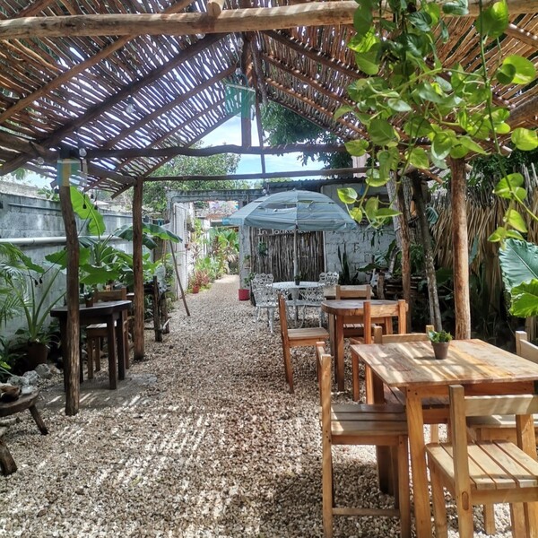 Restaurante Pak'al Fresh Cuisine Valladolid 5