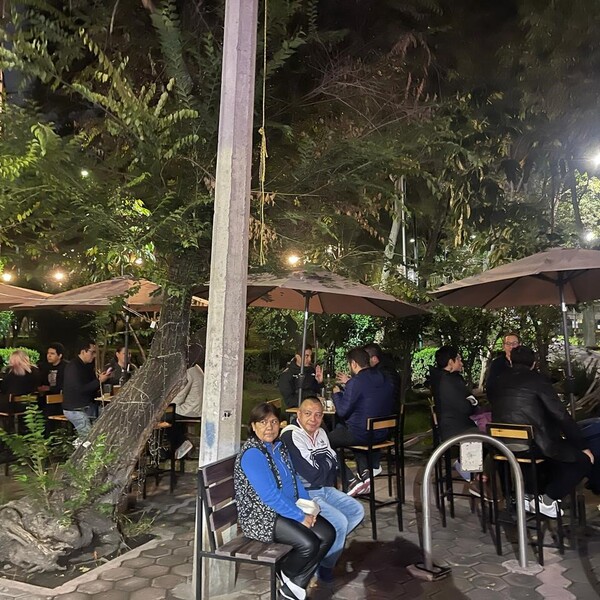 Fauna Tasting Room del Valle CDMX 5