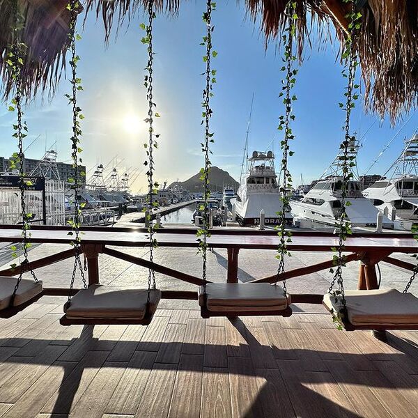Restaurante Baja Cantina Cabo  5