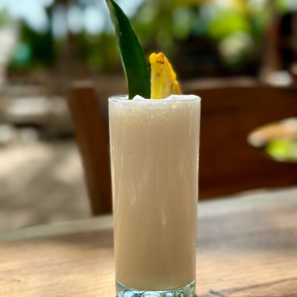 Mayan Monkey Beach Club Isla Mujeres 14