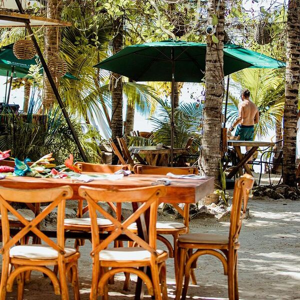 Mayan Monkey Beach Club Isla Mujeres 11