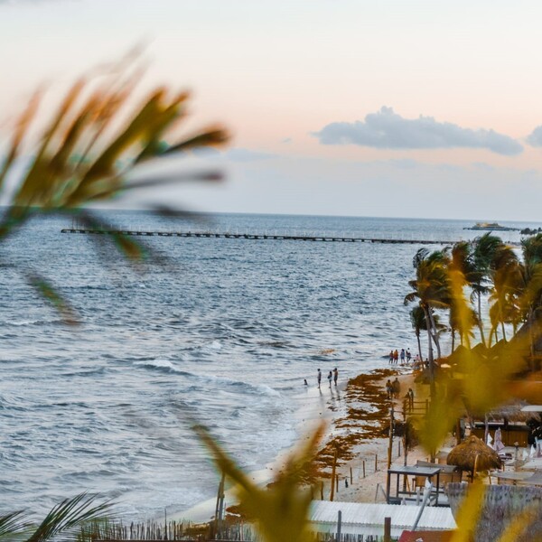 Peccato Exclusive Rooftop Playa del Carmen 9
