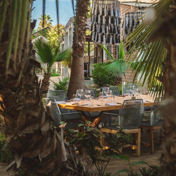 Restaurante DUM Todos Santos 16