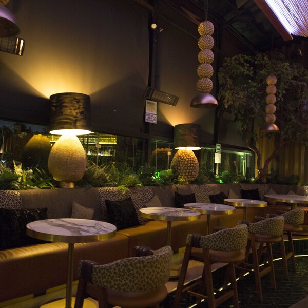 Terraza Panthera Polanco 13