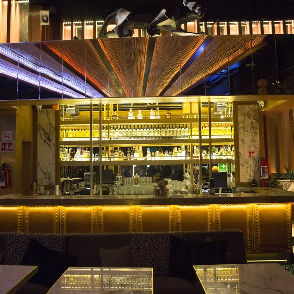 Terraza Panthera Polanco 15