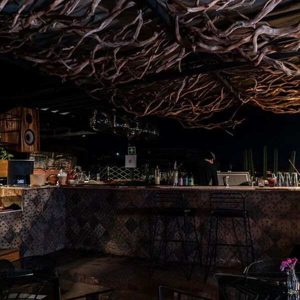 Restaurante Liquen Oaxaca 13