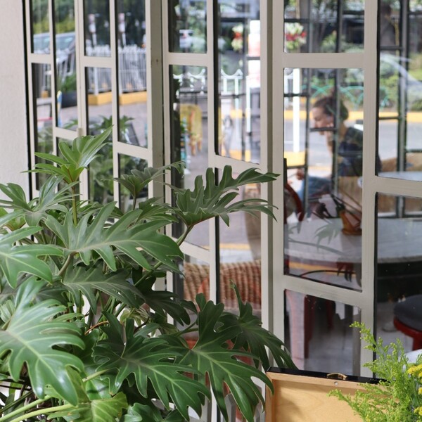 Restaurante Café Toscano Mercado 17