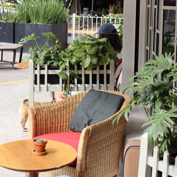 Restaurante Café Toscano Mercado 5