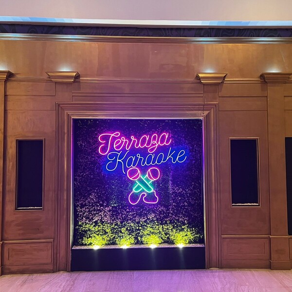 Terraza karaoke Interlomas 11