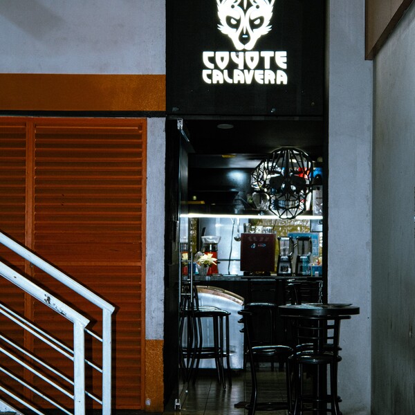 Coyote Calavera Coyoacán 8