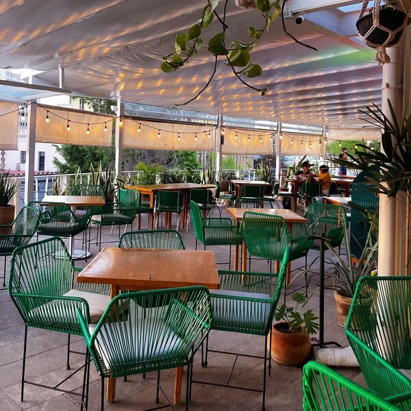 Barra Matilde Mi Amor Guadalajara 13