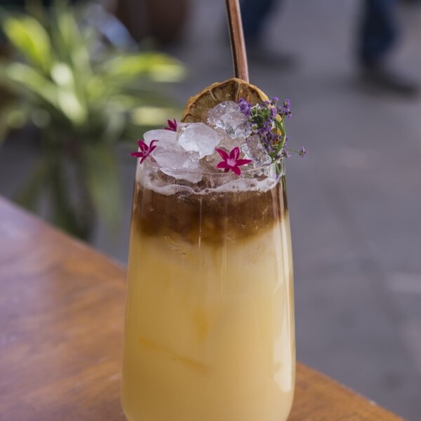 Barra Matilde Mi Amor Guadalajara 10