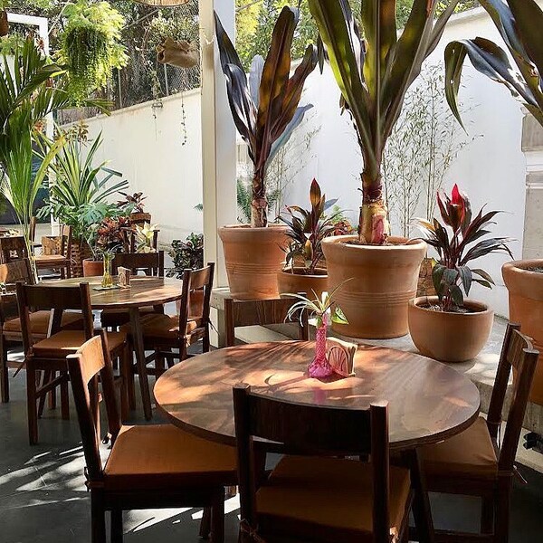 Restaurante Zunzún Jungla Insular Roma 11