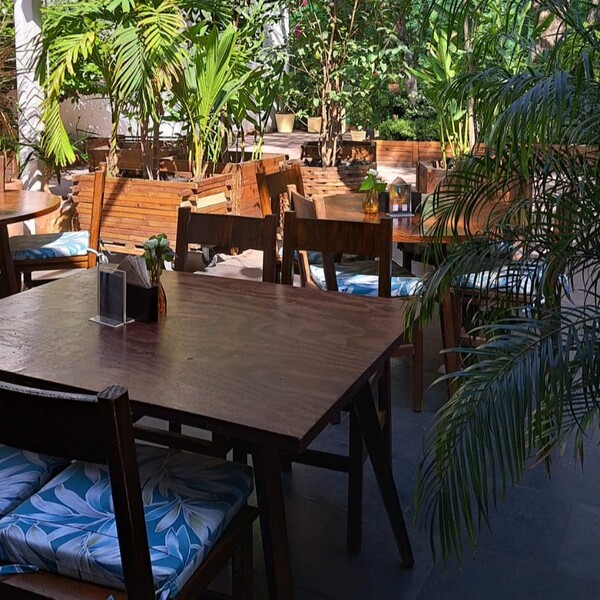 Restaurante Zunzún Jungla Insular Roma 15