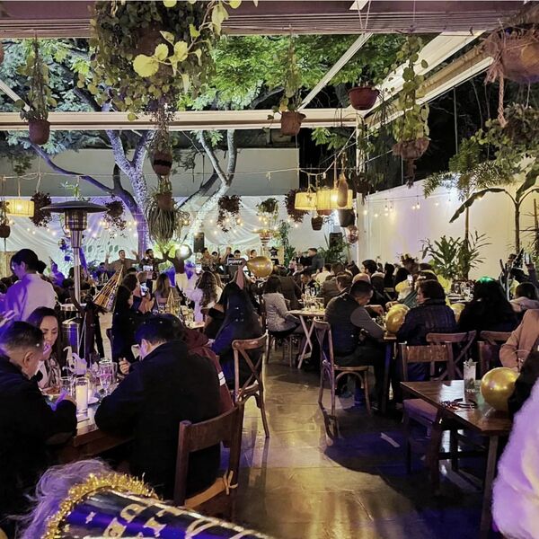 Restaurante Zunzún Jungla Insular Roma 13