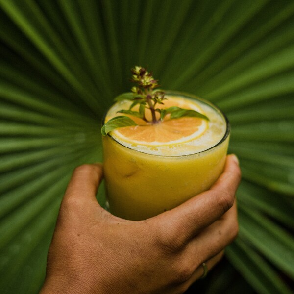 Restaurante Copal Gastro Bar Tulum 22